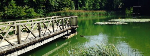 Weiher in der Ermitage