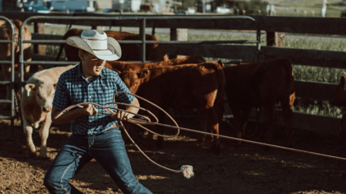 child participating in a rodeo