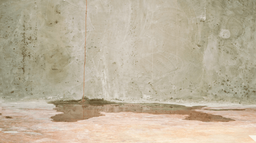 basement wall and floor with a water leak