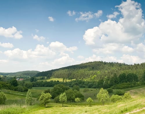 Oxfordshire Rural Land Agents banner image mobile
