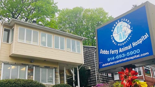 Vet, Dobbs Ferry, NY, Veterinarian , Location