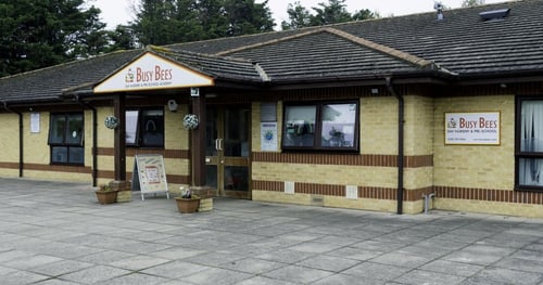 Busy Bees at Ilford - Gallery Photo
