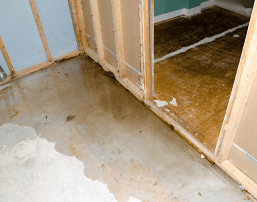 Water Damage Restoration 1 Reno-Tahoe