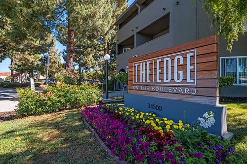 The Edge on the Boulevard Apartments in Fremont