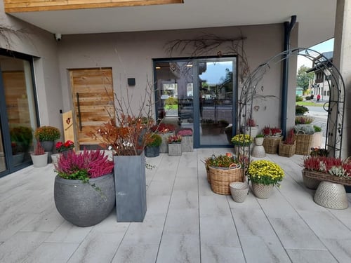 Blumen Eva Oberndorf in 6372 Oberndorf in Tirol