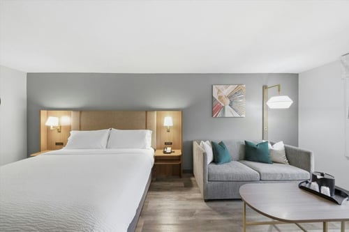 1 King Bed