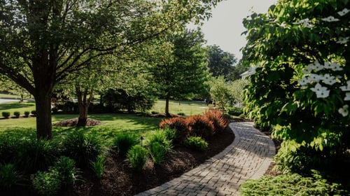 Morel Landscaping work on front lawn