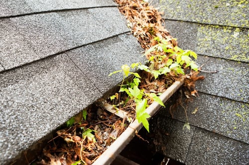 Water Damage Restoration 1 Reno-Tahoe