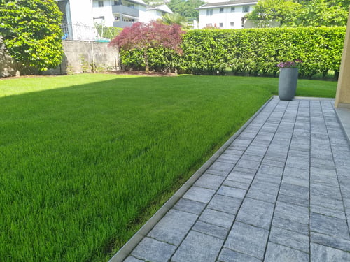 Pavimentazione e rigenerazione tappeto verde Giubiasco