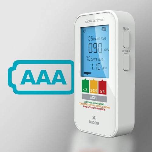The radon detector at the right, and an icon of the AAA battery power source to the left.