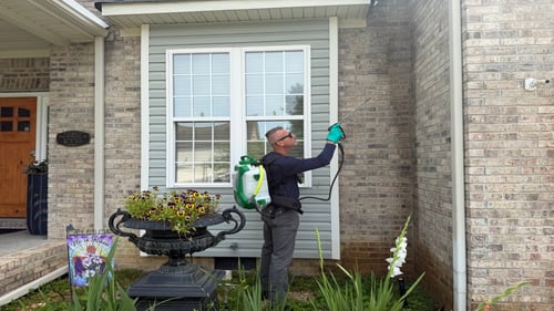 man standing in garden spraying the front of a house with insecticide