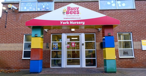 Busy Bees in York - Gallery Photo