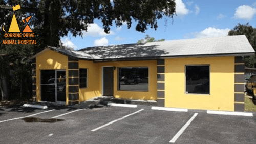 Corrine Drive Animal Hospital Exterior