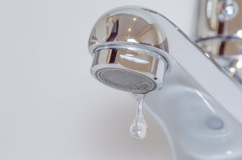 Léman Sanitaire Ferblanterie SARL