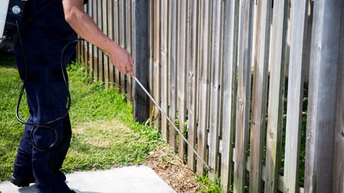 Man spraying fence to treat bugs
