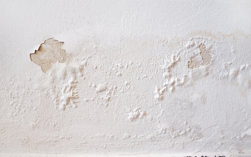 Close-up of a white interior wall showing bubbling paint, peeling plaster, and yellow water stains indicative of significant moisture damage.