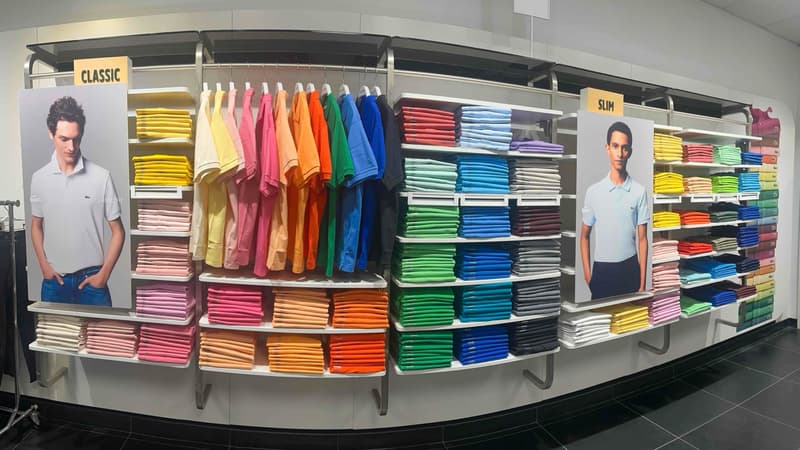 Polo Area
