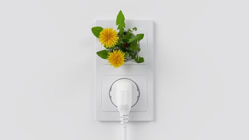 Ihrer esfera-Photovoltaikanlage tragen Sie entsprechend massgeblich zur Verbesserung des Klimas bei.