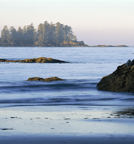 Calm seascape with gentle waves, rocky shoreline, and distant island covered in dense trees. Soft twilight hues create a serene, peaceful atmosphere.