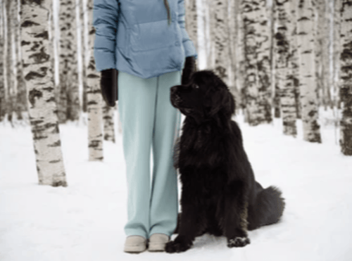 Jessica Basacco and her dog out for a walk on a snowy forest path.