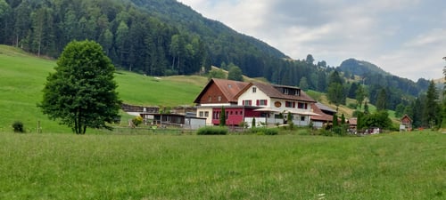 Liegenschaft Gast & Landwirtschaft Guldenthal