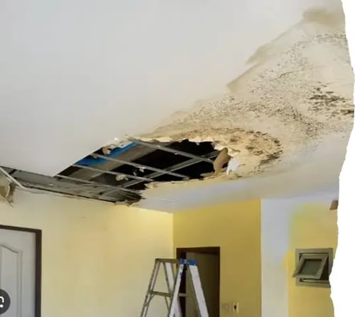 A large hole in a residential ceiling caused by water damage, revealing the interior framing and dark mold growth around the broken drywall edges.