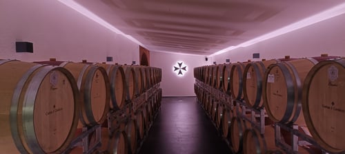 Cantina il Cavaliere - Barricaia