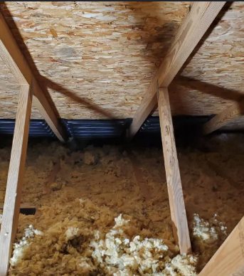 Mold Remediation Restoration 1 Reno-Tahoe