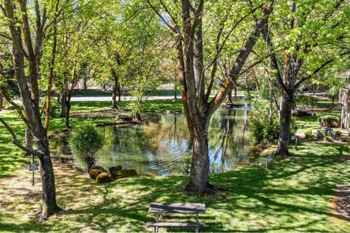 A serene park with a pond, trees, and a bench.