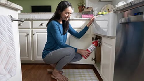 woman-cabinet-fire-extinguisher