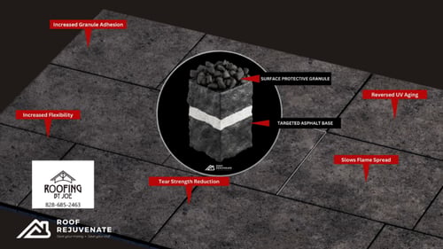 roof with graph of repairs