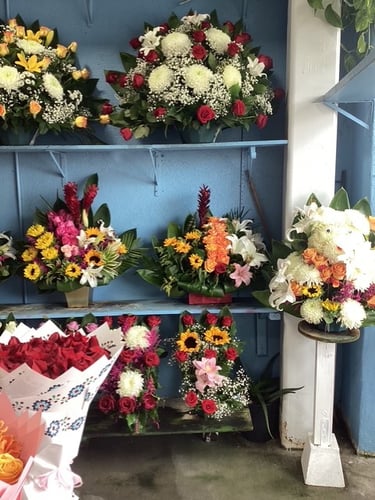 Juquila Flowers - flowers