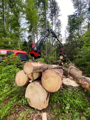 Abattage avec un processeur Komat'su
