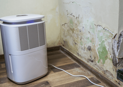 Water Damage Restoration 1 Reno-Tahoe