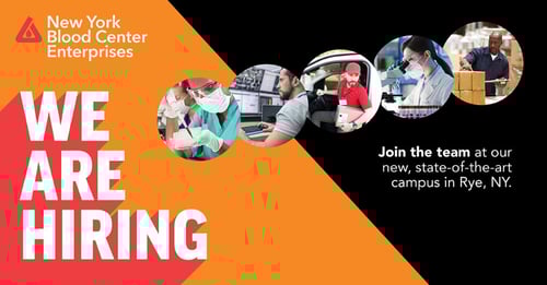 Poster reading, WE ARE HIRING at our Rye campus.