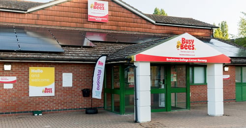 Busy Bees in Braintree - Gallery Photo