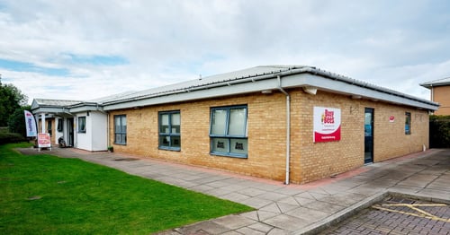 Busy Bees at Wakefield - Gallery Photo