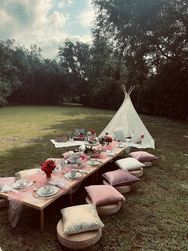 ST. AUGUSTINE PICNICS & PROPOSALS