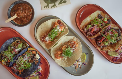 Overhead view of assorted street tacos including carne asada, shrimp, and vegetable tacos, garnished with fresh herbs, pickled onions, and served with salsa and lime.