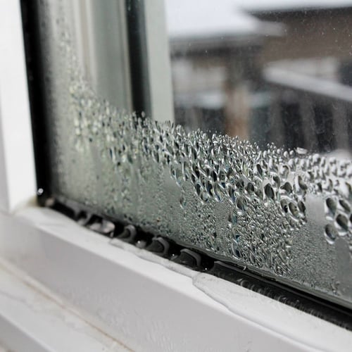 Water Damage Restoration 1 Reno-Tahoe