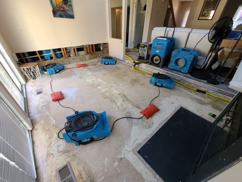 Northeast Power Dry - Water Damage & Water Removal Services