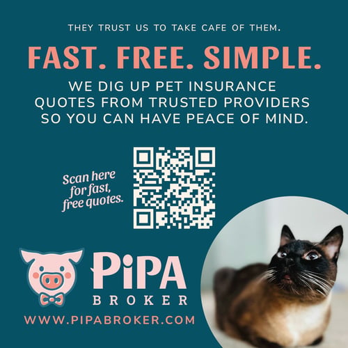 PIPA BROKER