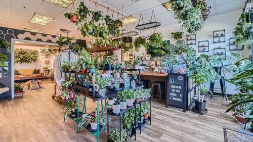 plant shops near me, houseplant store, private event space