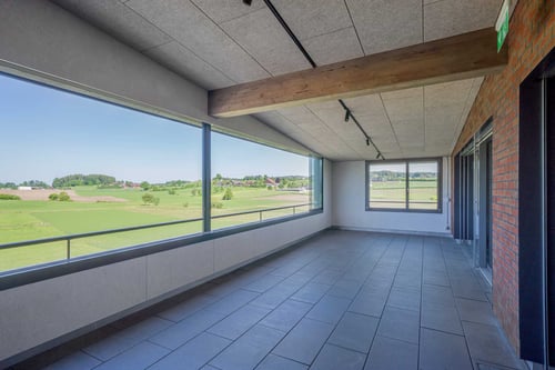 Terrasse mit Blick ins Grüne