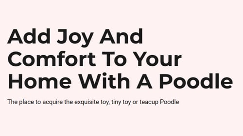 Add Joy and Comfort To Your Home