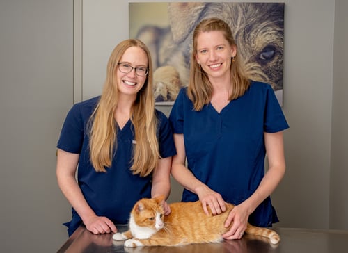 Dr. Katie Lacy and Dr. Jessica Szabunio