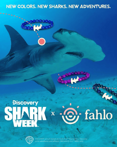 #lilnorway #poulsbowa  #fahlo #sharkweek #hammerheadshark