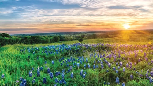 The Ranch at Uptown Celina