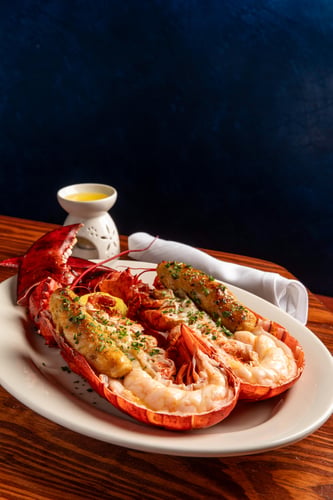 Maine Lobsters