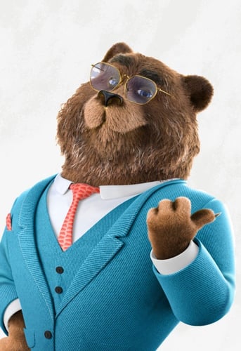 Law Bear Arizona Injury Lawyers